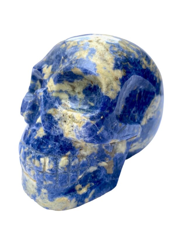 Sunset sodalite skull