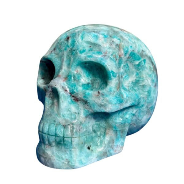 Large Amazonite Skull by Walmere