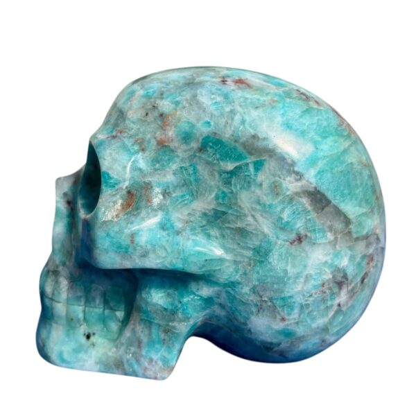 Large Amazonite Skull by Walmere