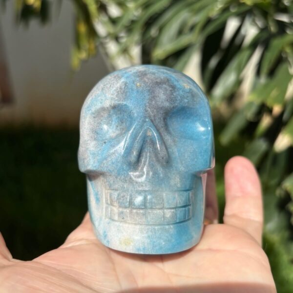Trolleite Crystal Skull 493g