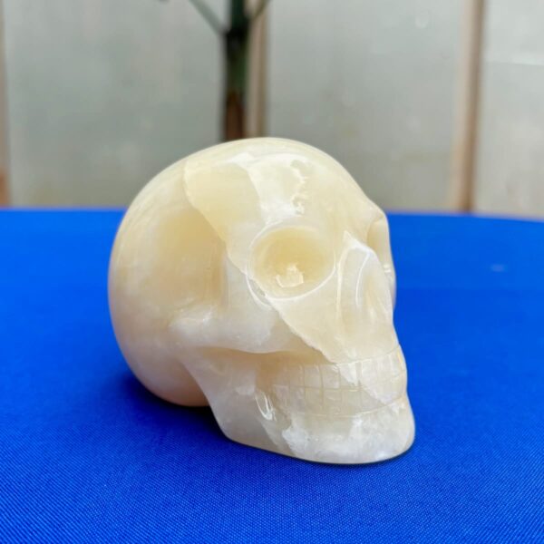 White & Yellow Onyx Crystal Skull by Walmere – 0.79 kg
