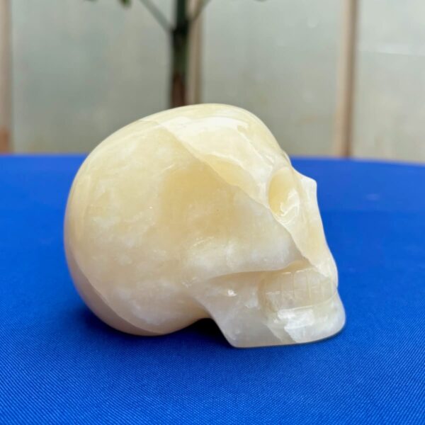 White & Yellow Onyx Crystal Skull by Walmere – 0.79 kg