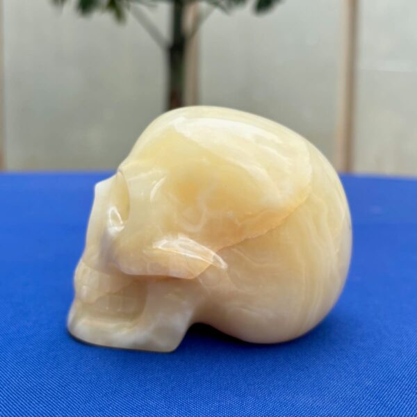 White & Yellow Onyx Crystal Skull by Walmere – 0.79 kg