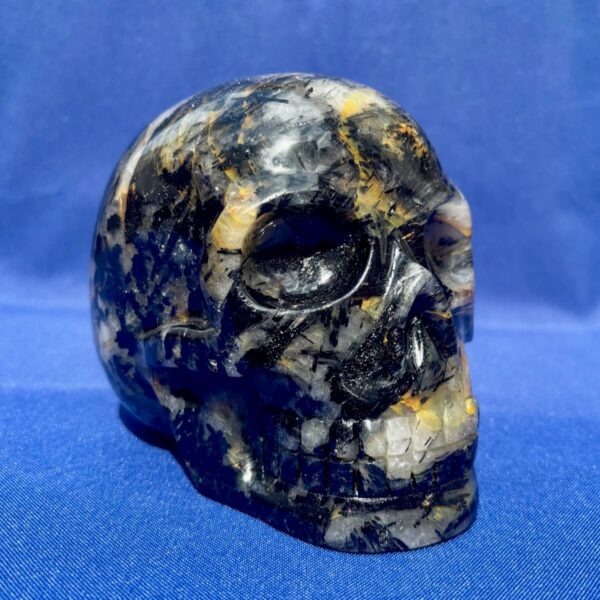 IMG_4998.jpeg Large Tourmaline Quartz Skull with Hematite