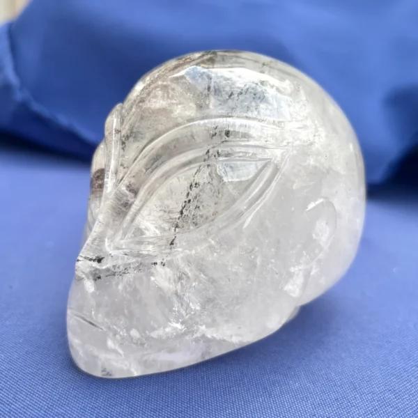IMG_5529.webp Lodolite Quartz Alien Skull โ Star Being by Walmere