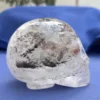 IMG_5530.webp Lodolite Quartz Alien Skull โ Star Being by Walmere