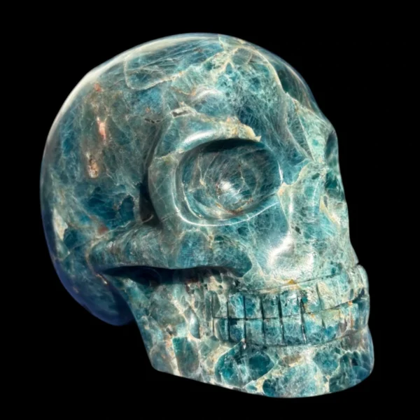 IMG_5617-Photoroom.webp Large Apatite Skull - 1.73 kg