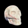 White Dolomite Skull by Walmere | 0.83 kg
