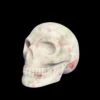 White Dolomite Skull by Walmere | 0.83 kg