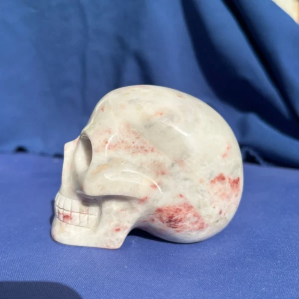 White Dolomite Skull by Walmere | 0.83 kg