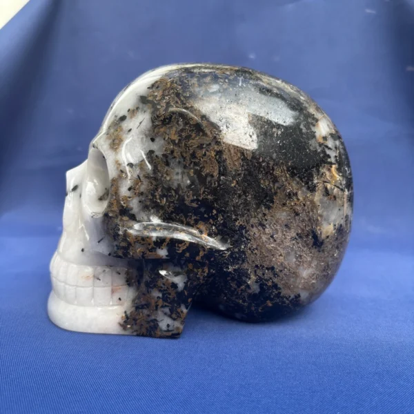 Life-Size Tourmaline Quartz Skull by Walmere